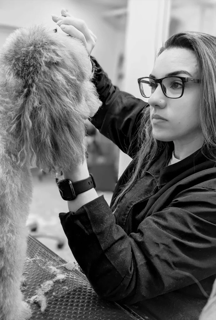 Day of the Dog - London Dog Groomer - 11