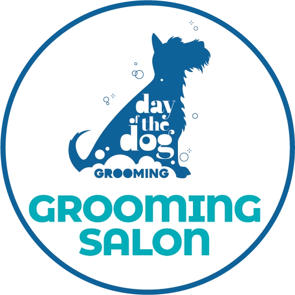 Day of the Dog - VIP Dog Taxi Shuttle London - Salon